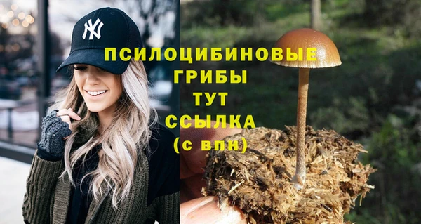 гидра Нижний Тагил