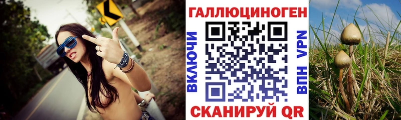MEGA маркетплейс  где продают   Приволжский  Псилоцибиновые грибы ЛСД 