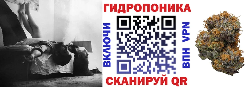 как найти   Приволжский  Канабис гибрид 